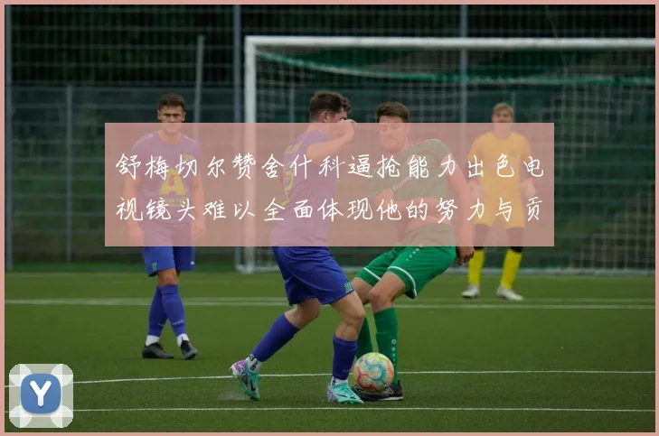 舒梅切尔赞舍什科逼抢能力出色电视镜头难以全面体现他的努力与贡献