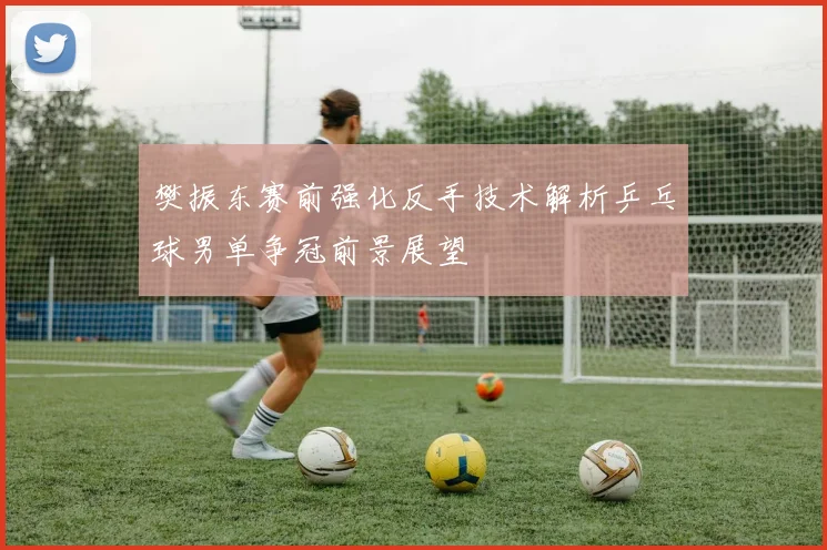 樊振东赛前强化反手技术解析乒乓球男单争冠前景展望